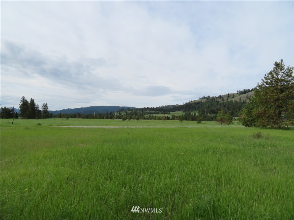 -tbd Tiffany Road Republic, WA 99166 - Photo 6 of 12 Gallery Image 6