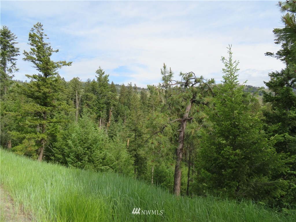 -tbd Tiffany Road Republic, WA 99166 - Photo 8 of 12 Gallery Image 8