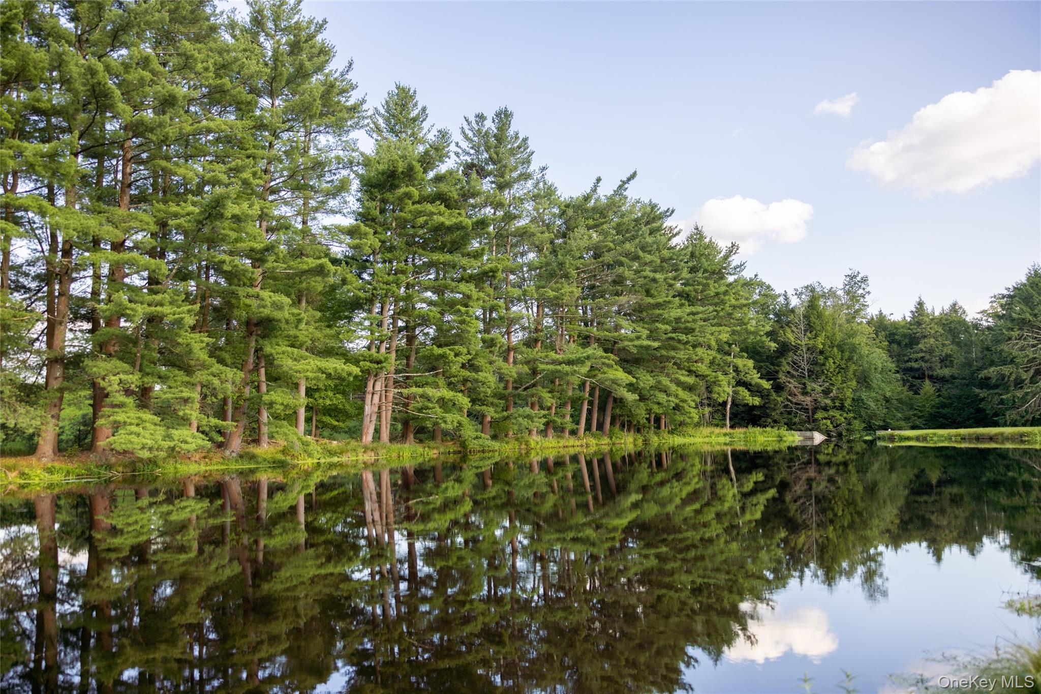 49 Crumley Van Vactor Road Ferndale, NY 12734 - Photo 8 of 50 Water view featuring a forest