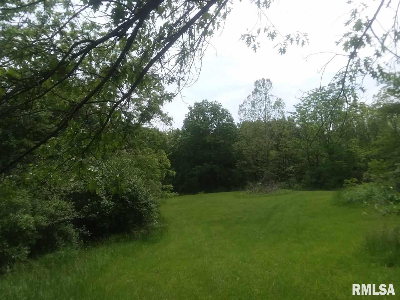 310 Macallen Lake Road Carlock, IL 61725 - Photo 1 of 27 Gallery Image 1