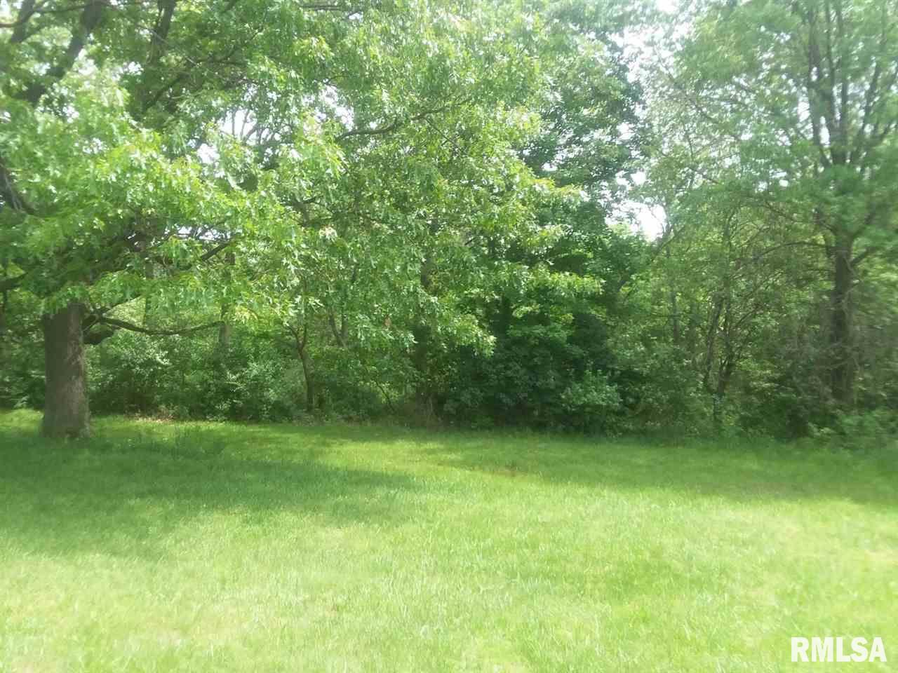 310 Macallen Lake Road Carlock, IL 61725 - Photo 12 of 27 Gallery Image 12