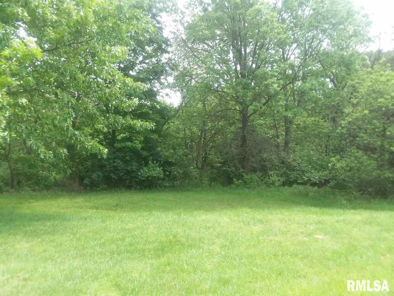 310 Macallen Lake Road Carlock, IL 61725 - Photo 14 of 27 Gallery Image 14