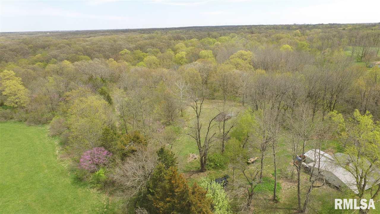 310 Macallen Lake Road Carlock, IL 61725 - Photo 17 of 27 Gallery Image 17