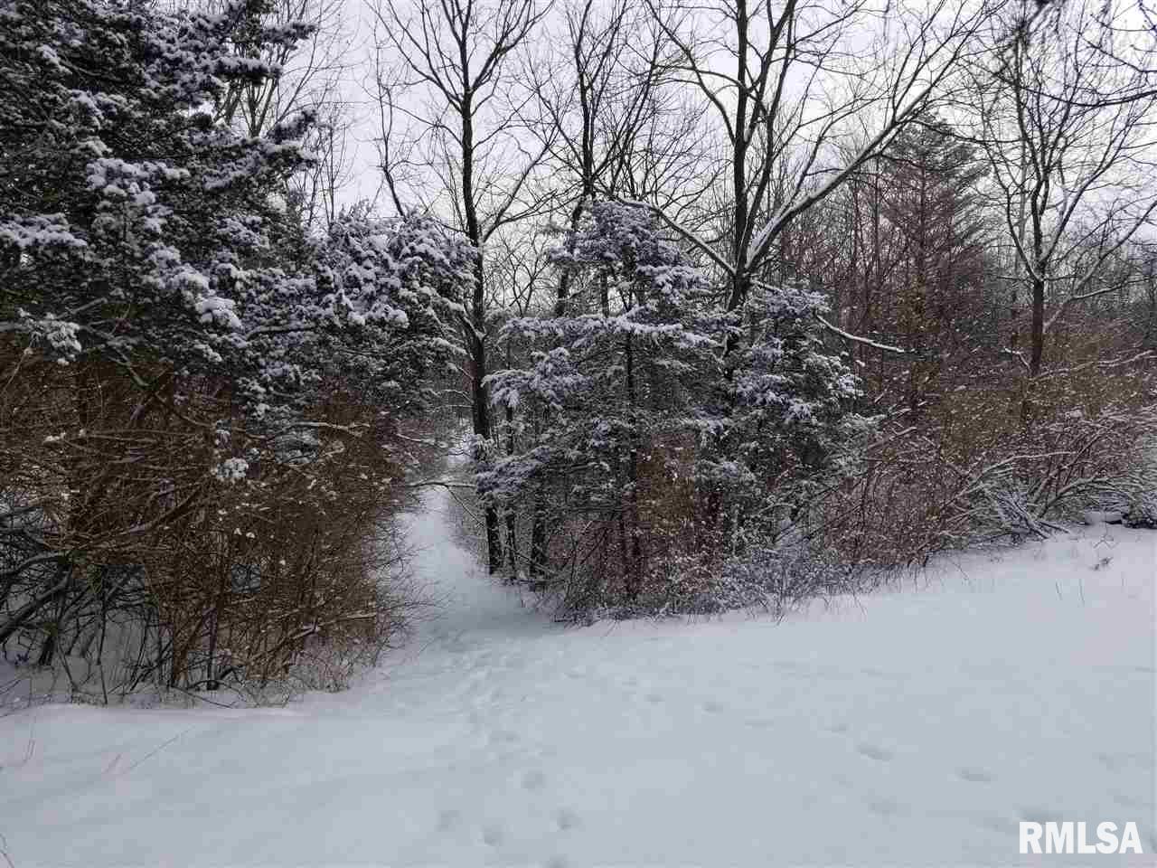 310 Macallen Lake Road Carlock, IL 61725 - Photo 19 of 27 Gallery Image 19