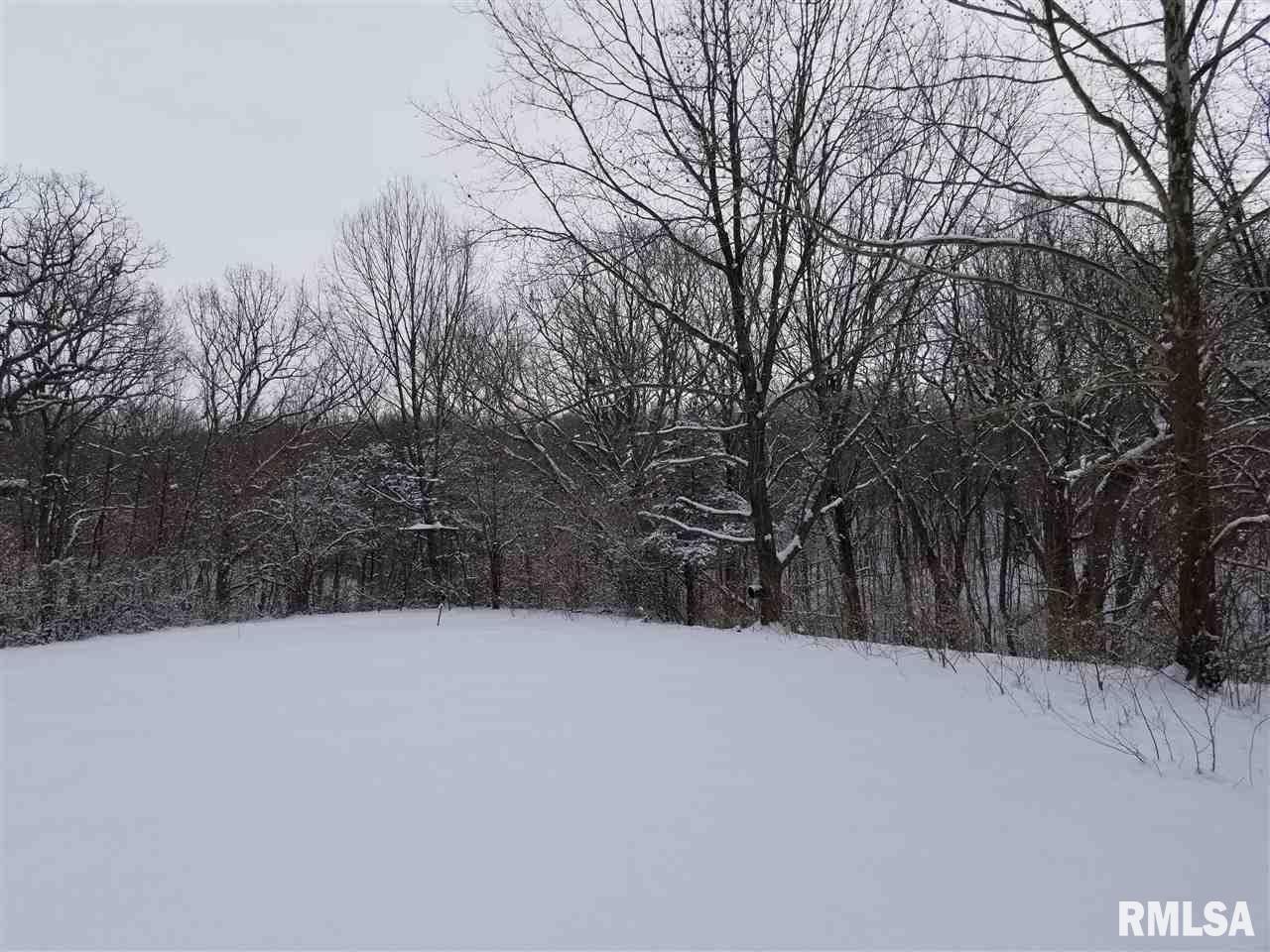 310 Macallen Lake Road Carlock, IL 61725 - Photo 20 of 27 Gallery Image 20