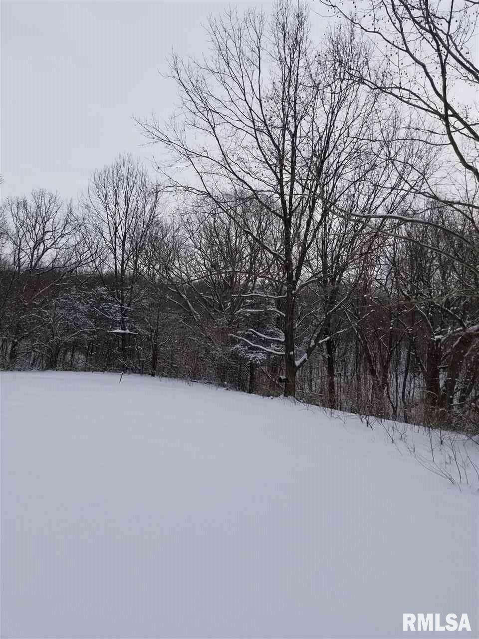 310 Macallen Lake Road Carlock, IL 61725 - Photo 21 of 27 Gallery Image 21