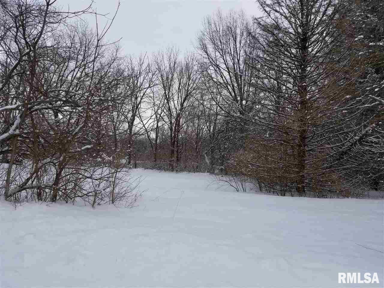 310 Macallen Lake Road Carlock, IL 61725 - Photo 26 of 27 Gallery Image 26