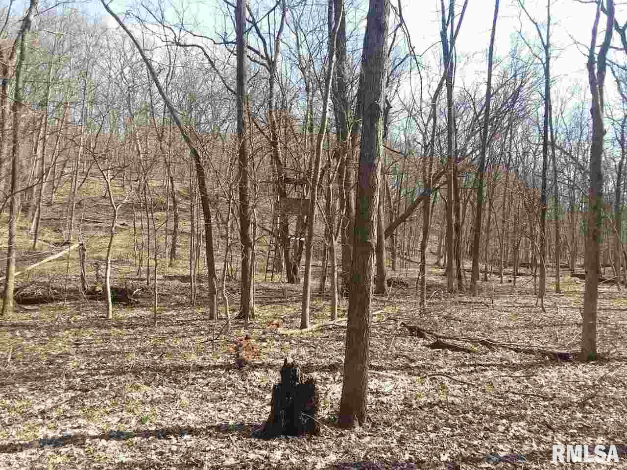 310 Macallen Lake Road Carlock, IL 61725 - Photo 3 of 27 Gallery Image 3