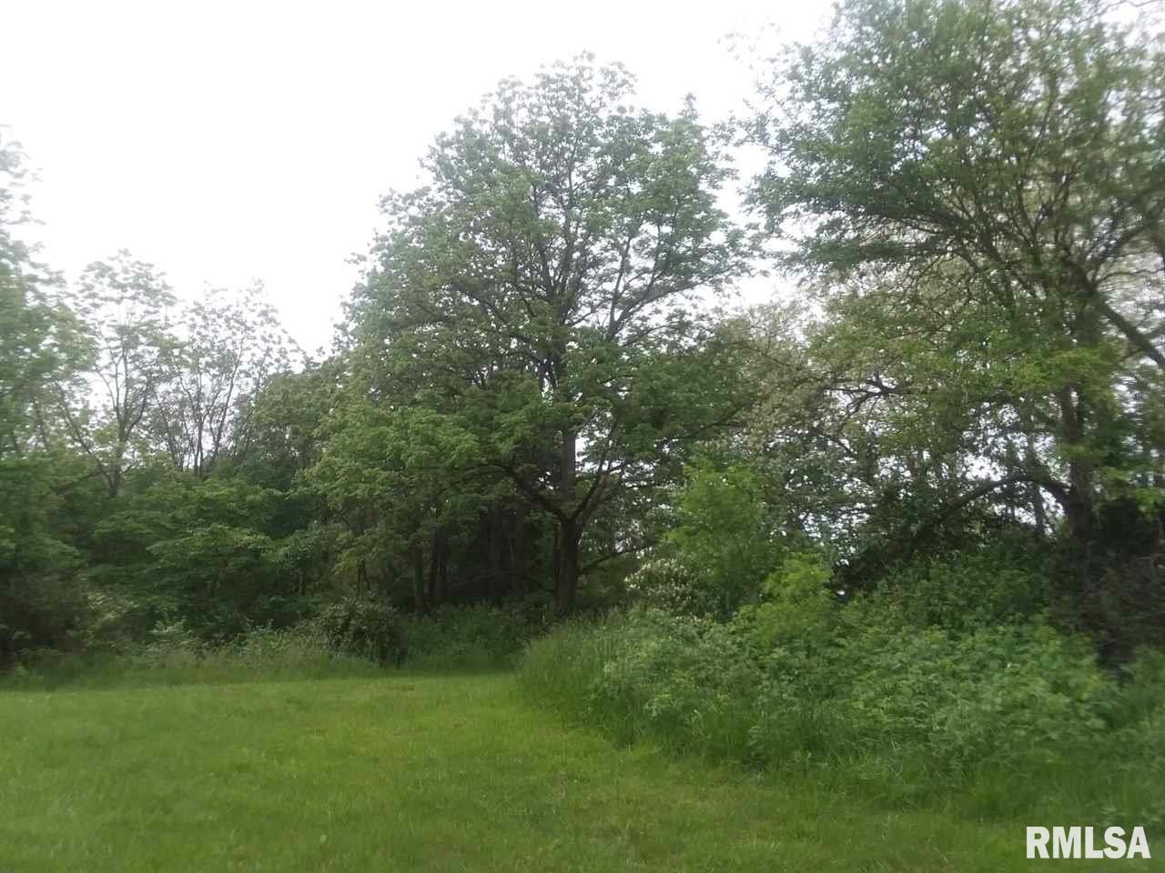 310 Macallen Lake Road Carlock, IL 61725 - Photo 6 of 27 Gallery Image 6
