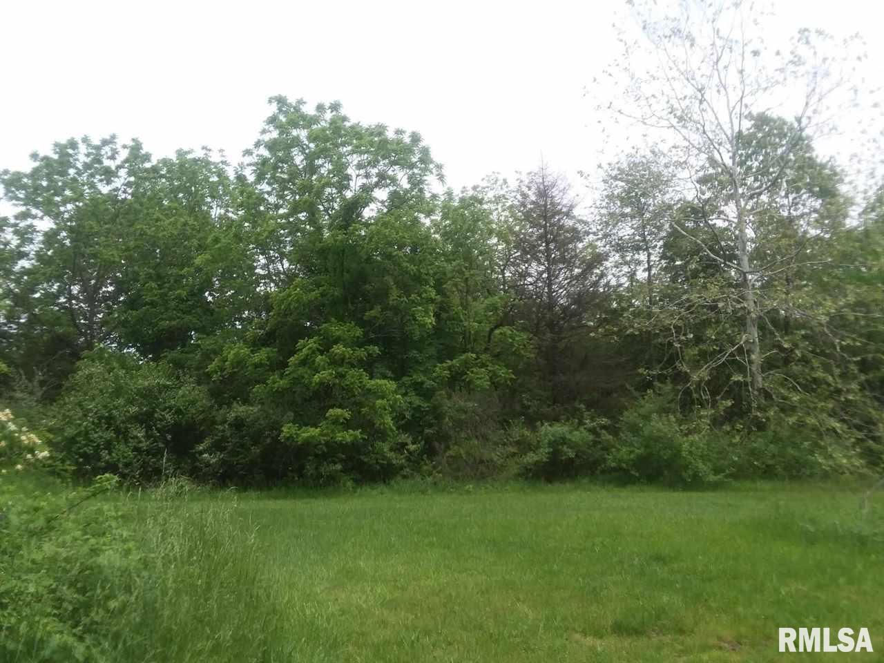 310 Macallen Lake Road Carlock, IL 61725 - Photo 8 of 27 Gallery Image 8
