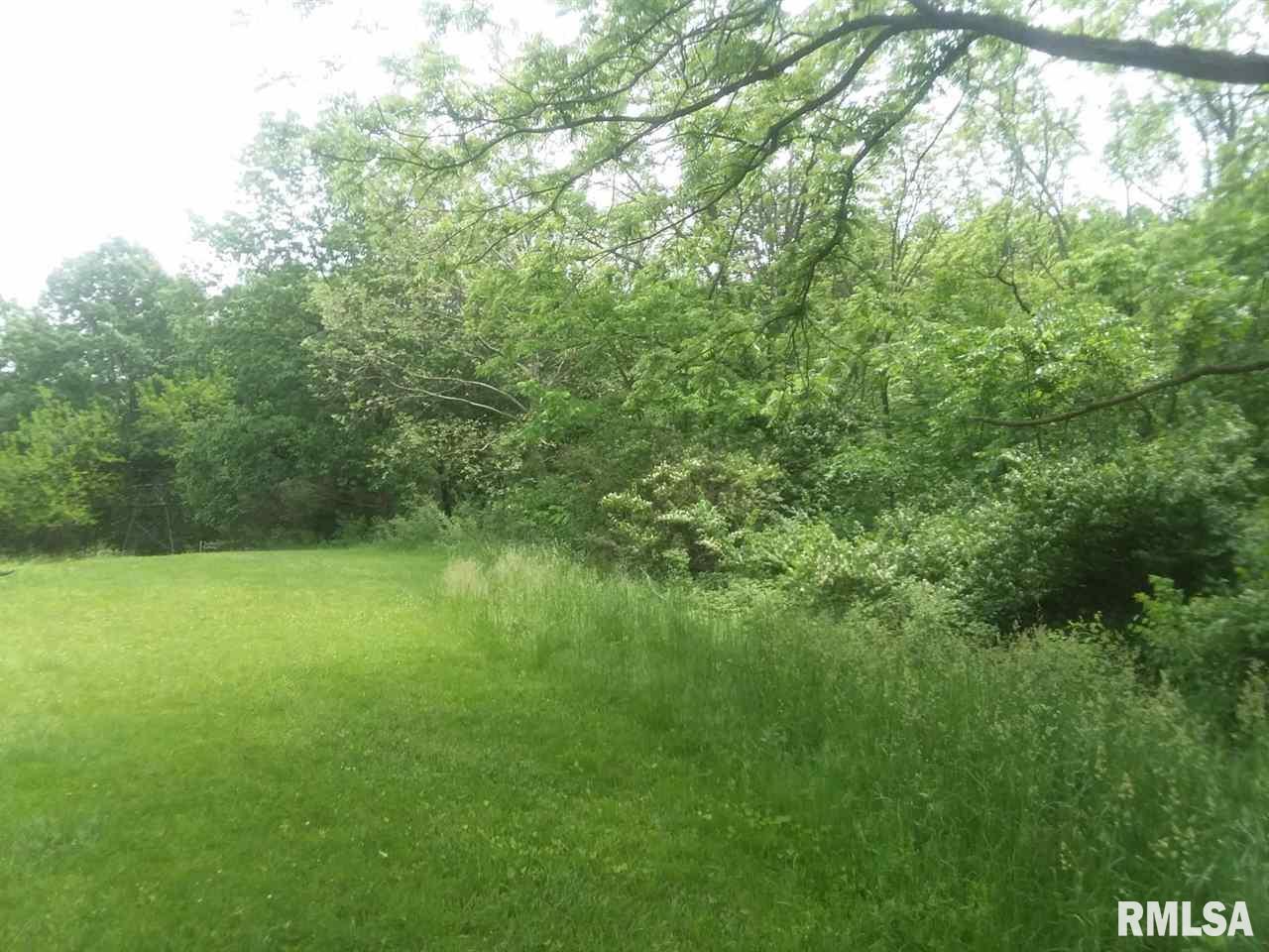 310 Macallen Lake Road Carlock, IL 61725 - Photo 10 of 27 Gallery Image 10