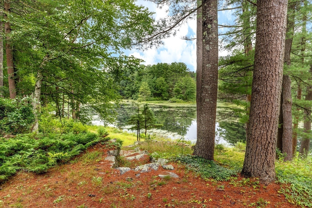 738 Lowell Road Groton, MA 01450 - Photo 26 of 30 a view of a lake with a tree