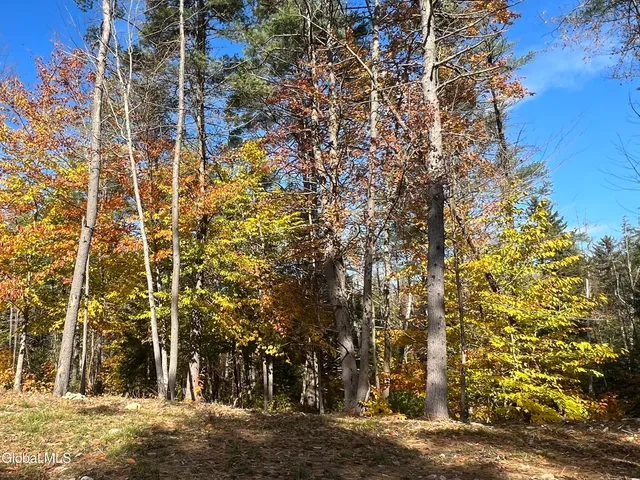 $90,000 | 167 Rice Road, Hope, NY 12134