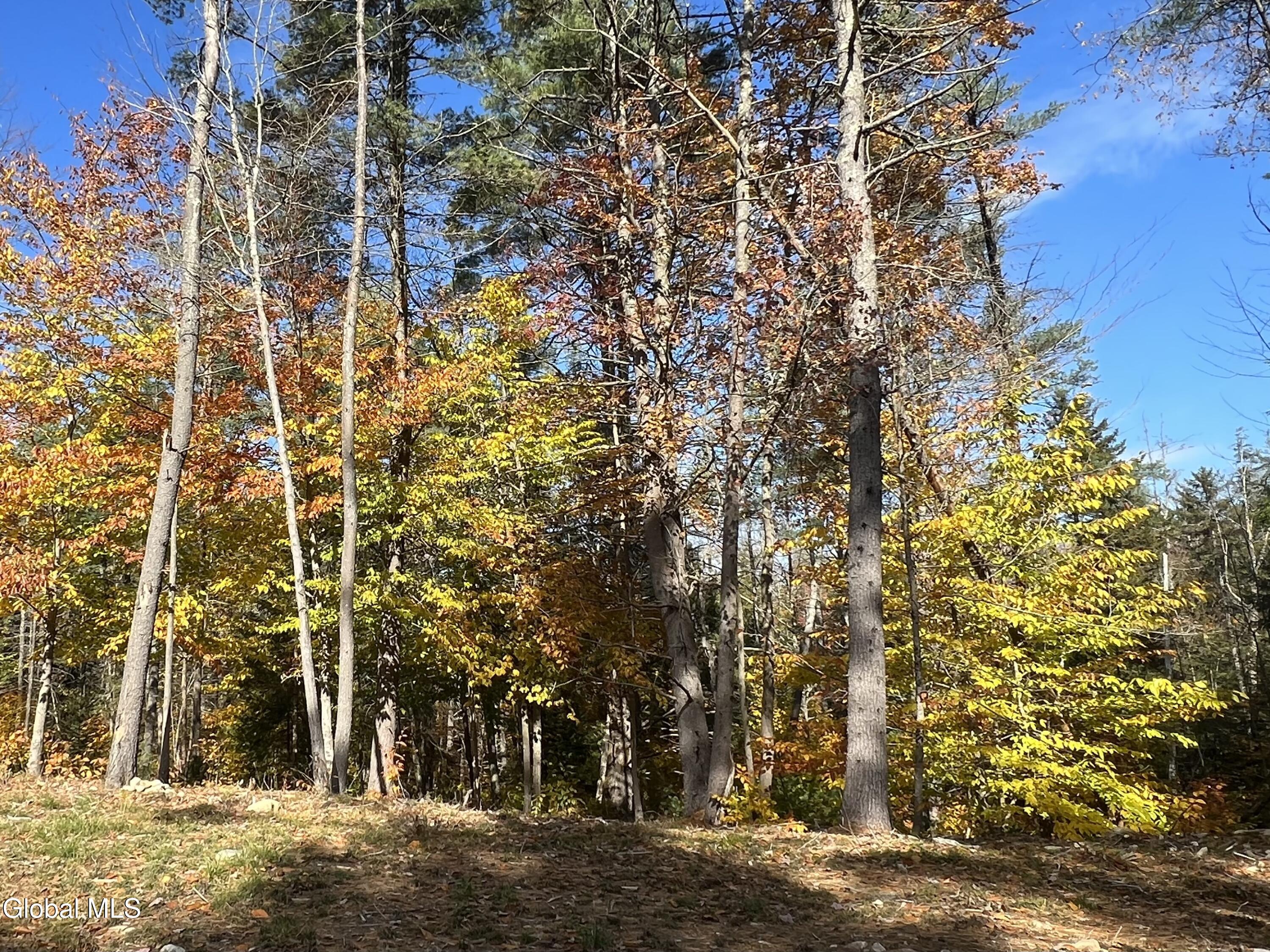 167 Rice Road Hope, NY 12134 - Photo 20 of 21 IMG_2757