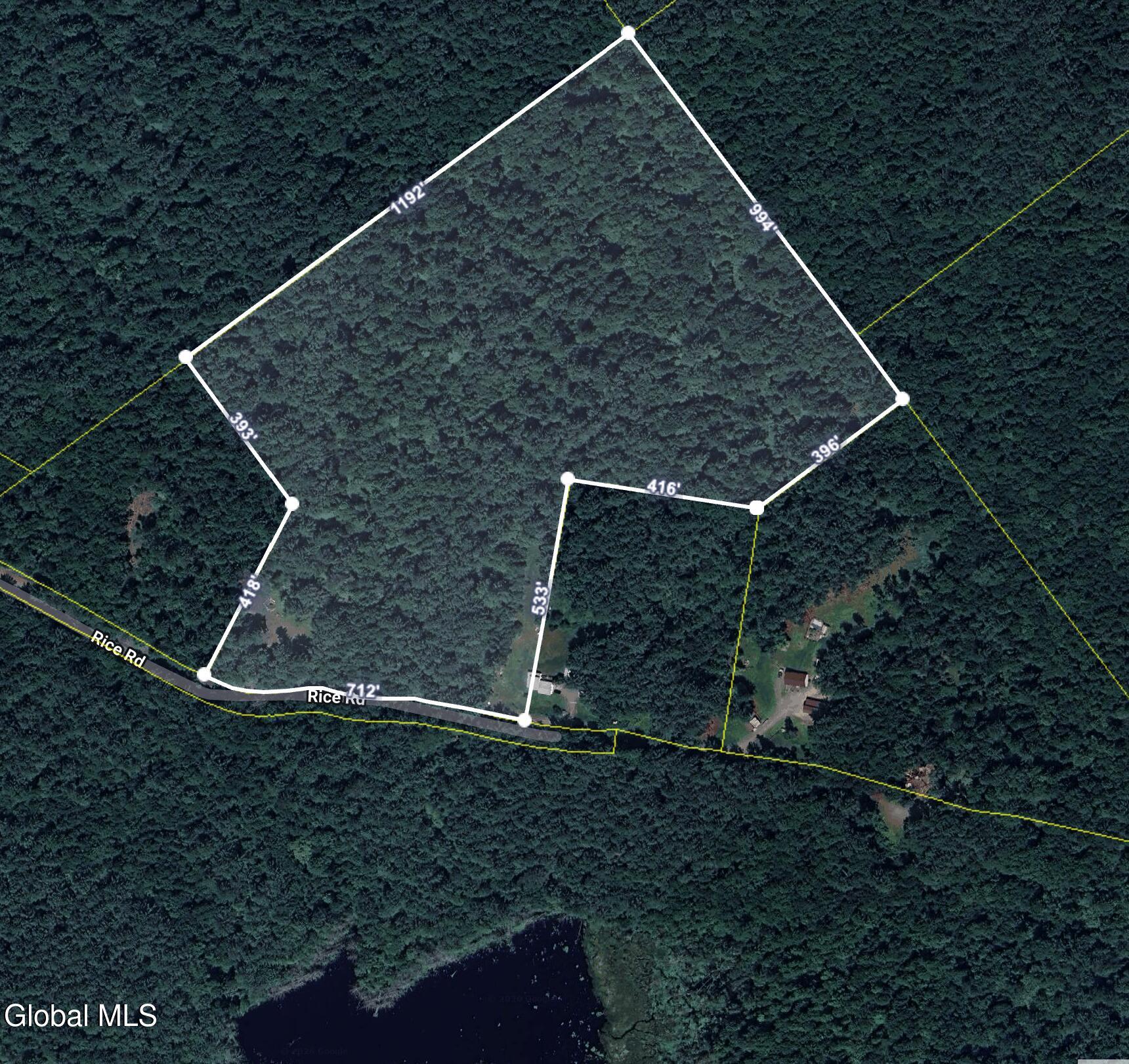 167 Rice Road Hope, NY 12134 - Photo 2 of 21 167 rice