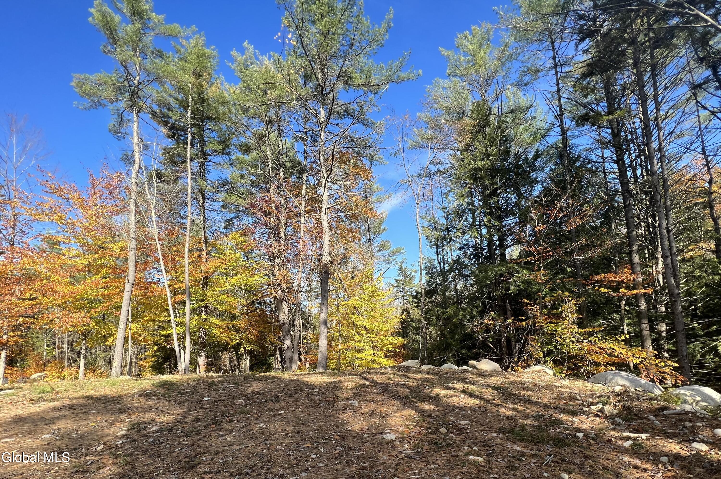 167 Rice Road Hope, NY 12134 - Photo 21 of 21 IMG_2755