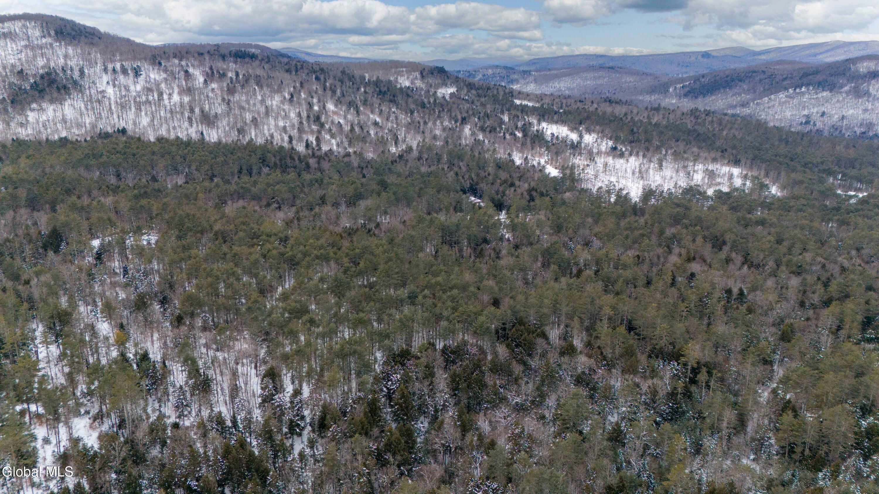 167 Rice Road Hope, NY 12134 - Photo 5 of 21 167 Rice Rd-3