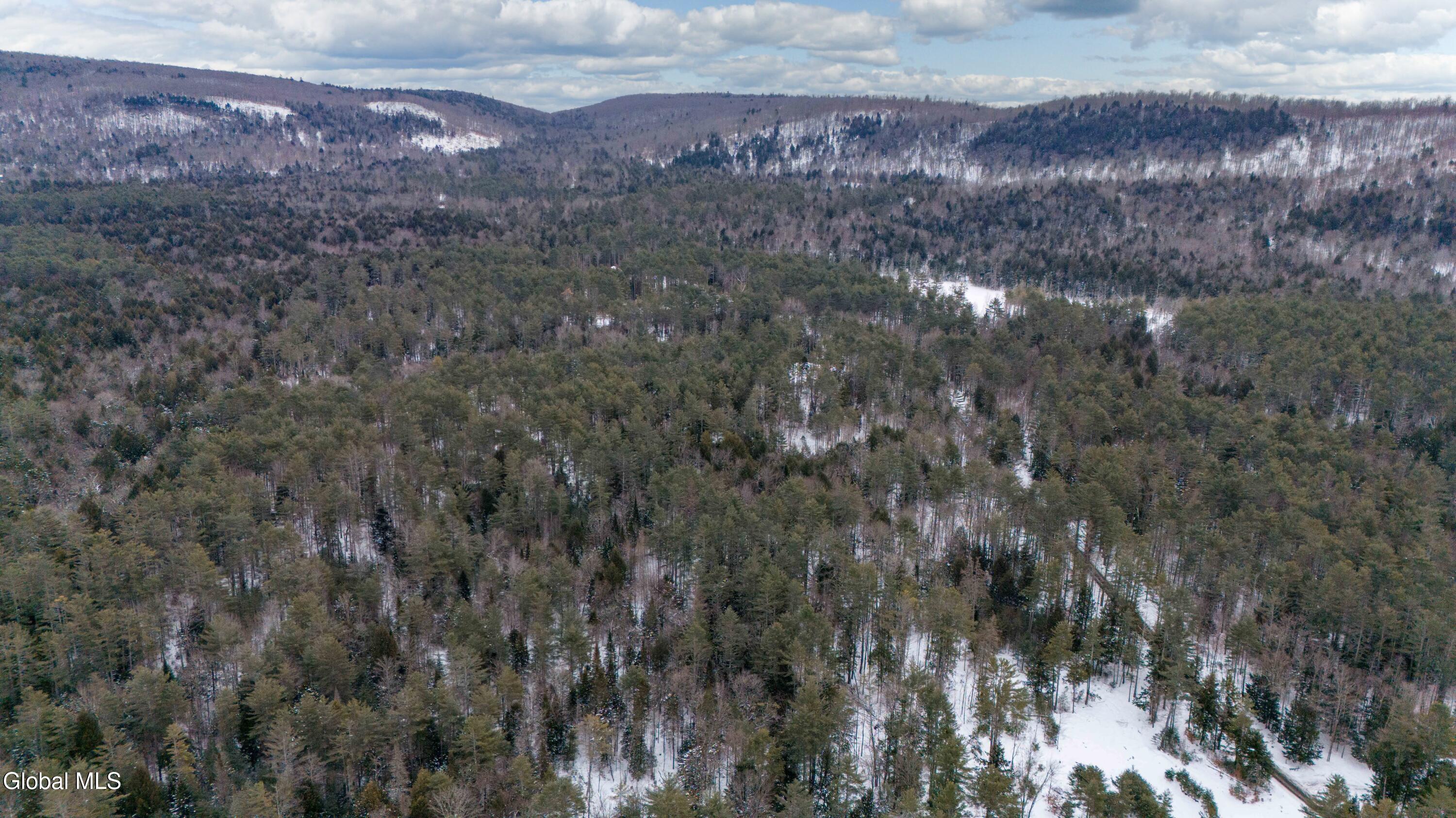 167 Rice Road Hope, NY 12134 - Photo 7 of 21 167 Rice Rd-4