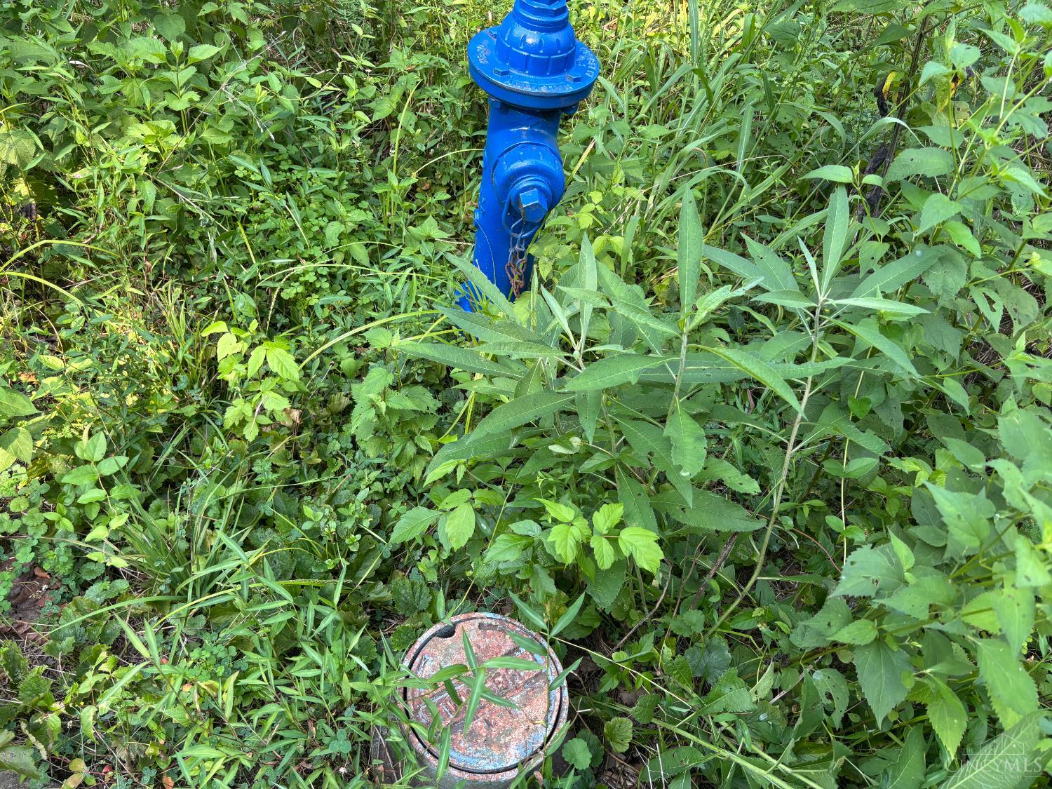 514 Felicity Cedron Rural Road Georgetown, OH 45121 - Photo 2 of 30 public water on property