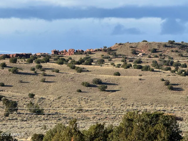 a view of a dry yard
