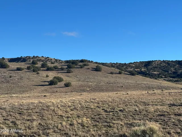 $39,000 | 37297 Sr 61, Concho, AZ 85924