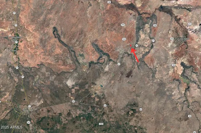 a close up of a tree