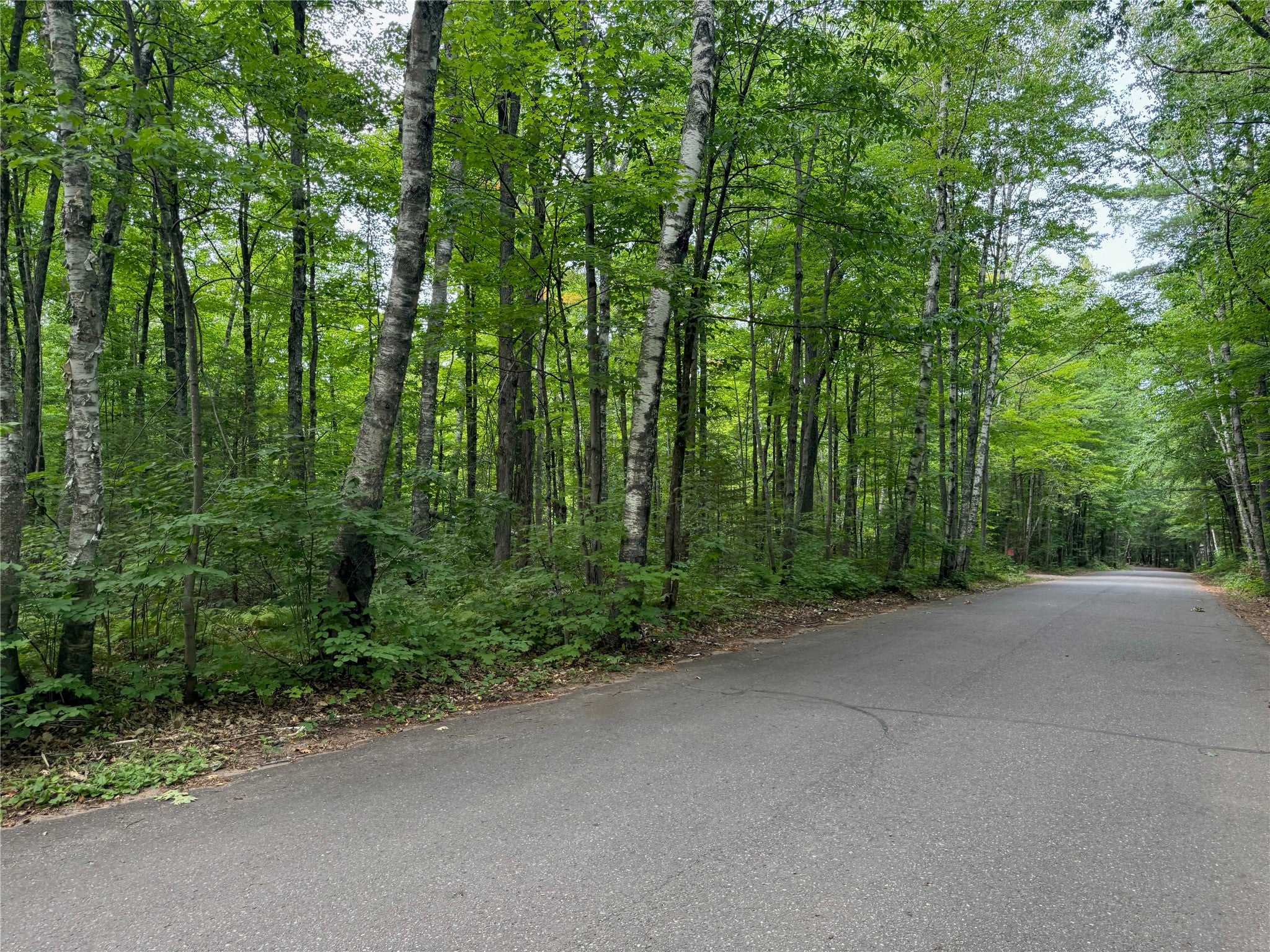 Lot 4 North Scheers Road Hayward, WI 54843 - Photo 6 of 20 Gallery Image 6