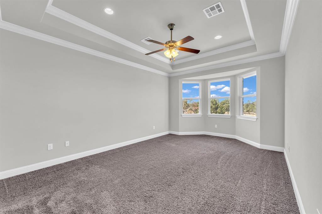 110 Magona Trail Georgetown, TX 78628 - Photo 30 of 38 A spacious primary bedroom features a striking tray ceiling with a fan and a picturesque bay window overlooking nature.