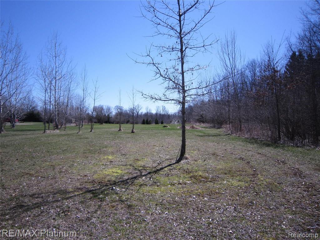 Parcel E West Lange Road Fowlerville, MI 48836 - Photo 1 of 9