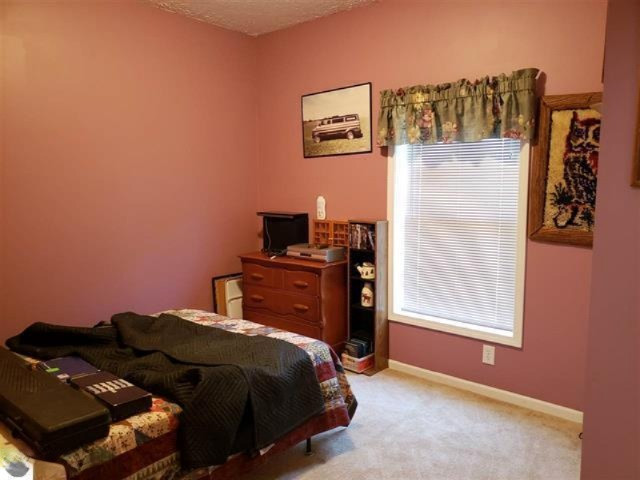 11219 West 16 Road Mesick, MI 49668 - Photo 26 of 45 1863082-25