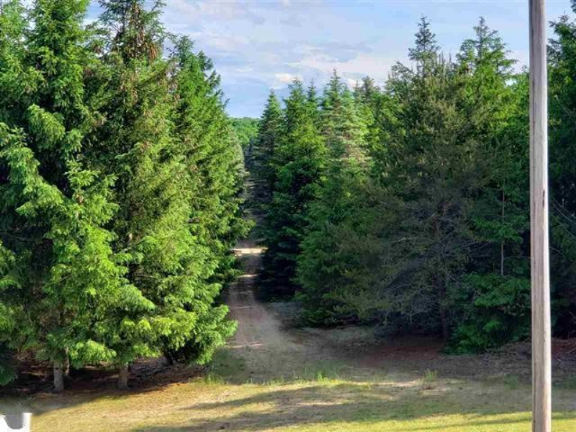 11219 West 16 Road Mesick, MI 49668 - Photo 28 of 45 1863082-27