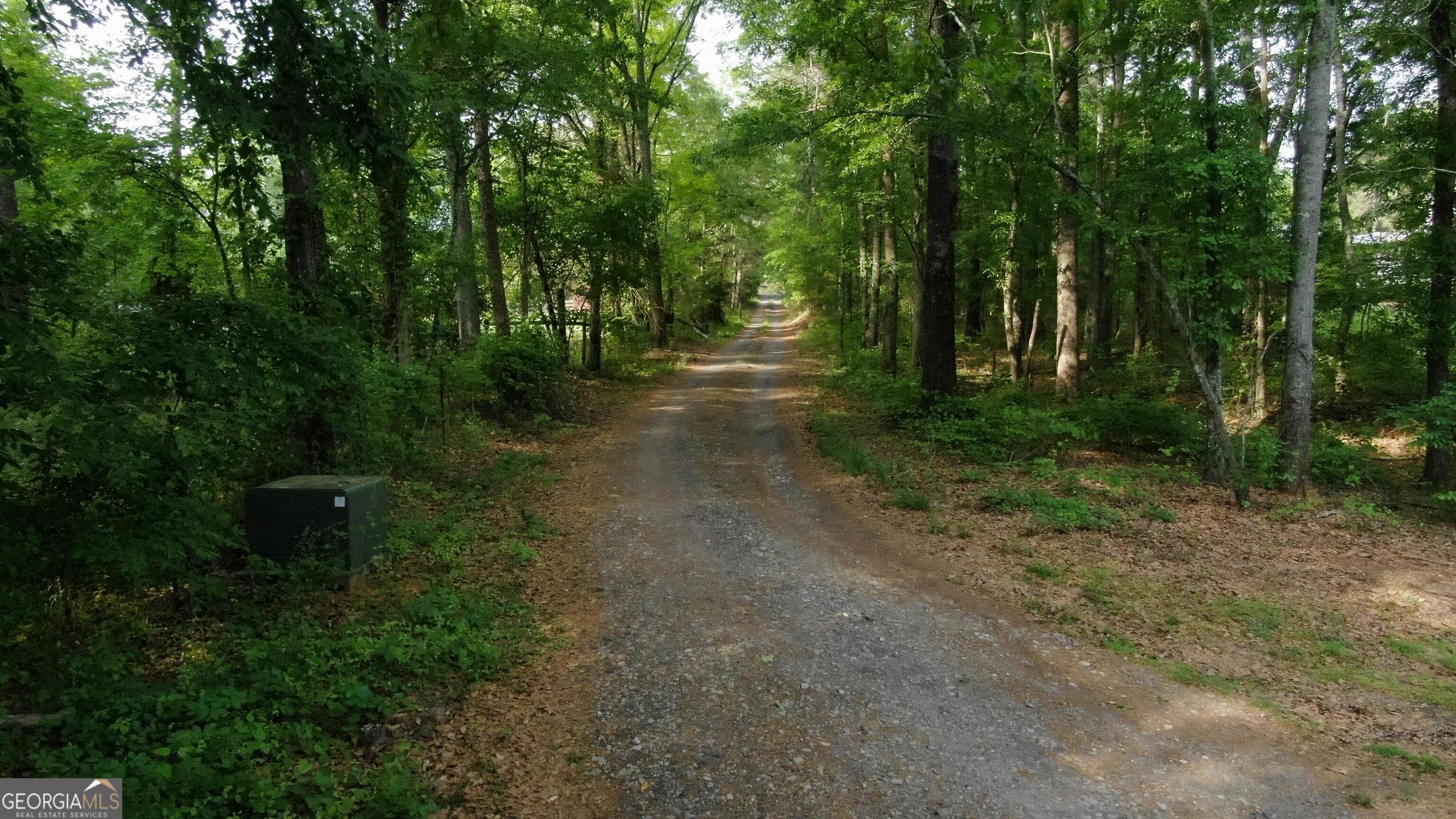 2000 Dials Mill Road Statham, GA 30666 - Photo 2 of 14