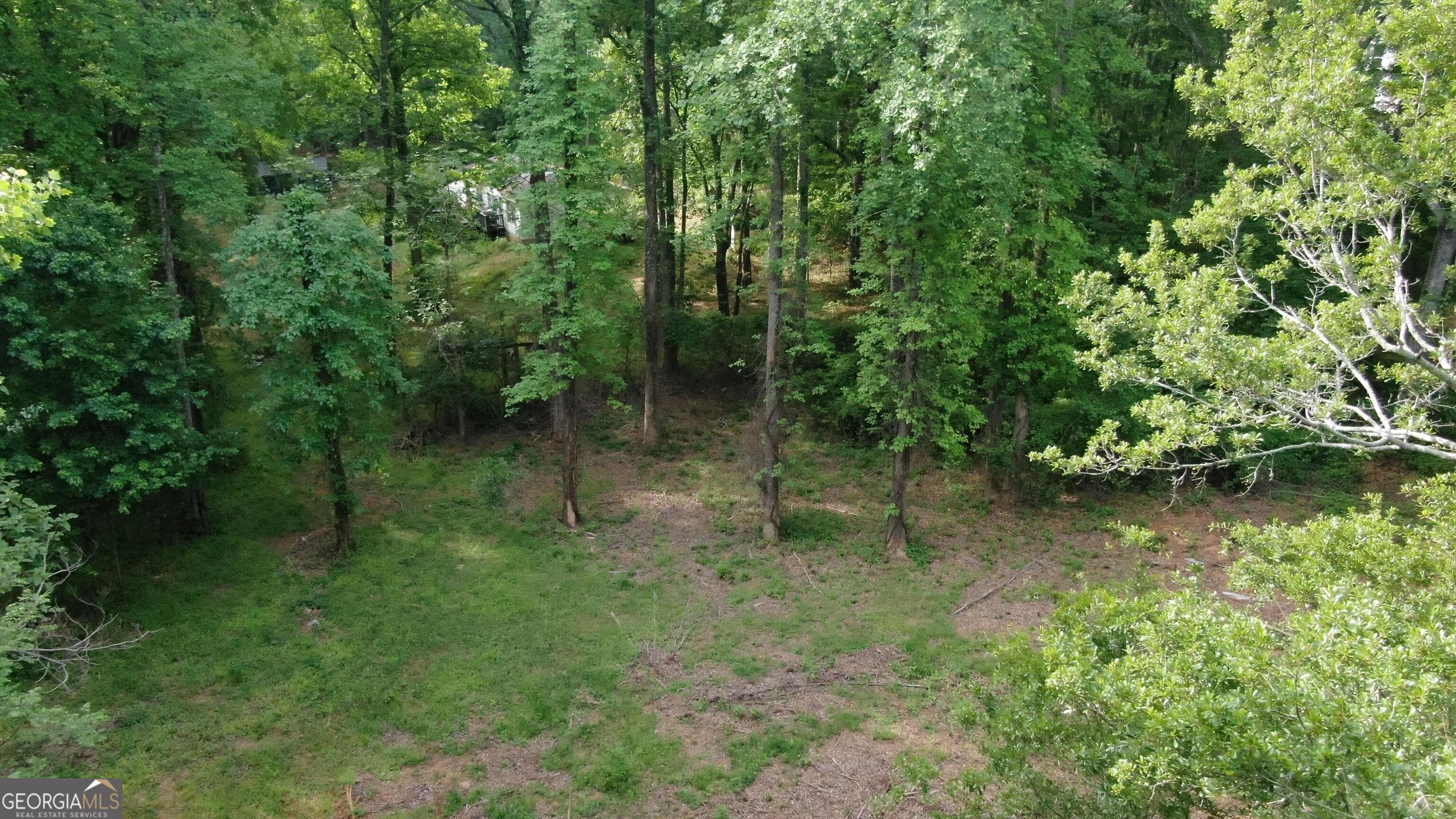 2000 Dials Mill Road Statham, GA 30666 - Photo 8 of 14