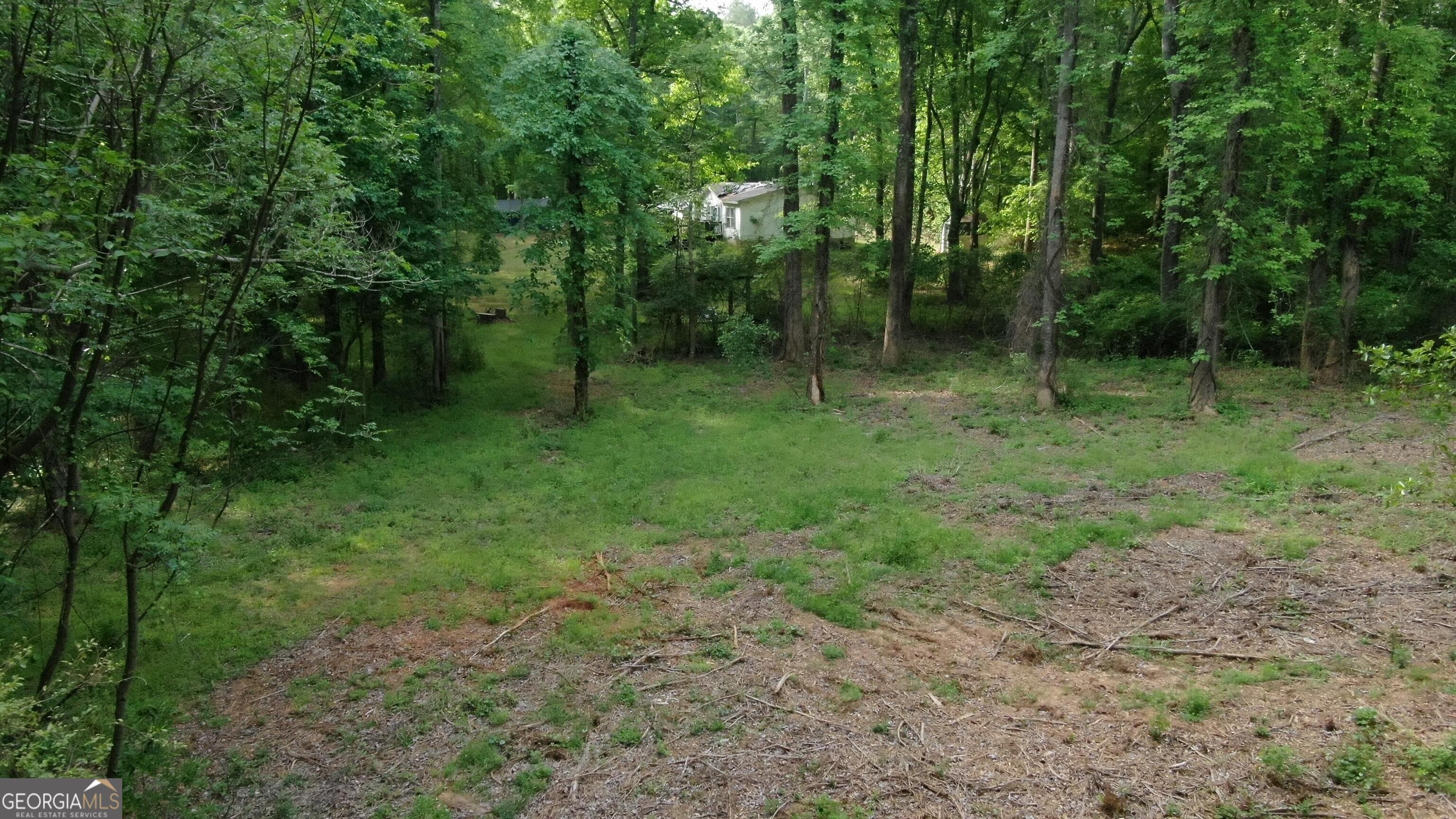 2000 Dials Mill Road Statham, GA 30666 - Photo 9 of 14