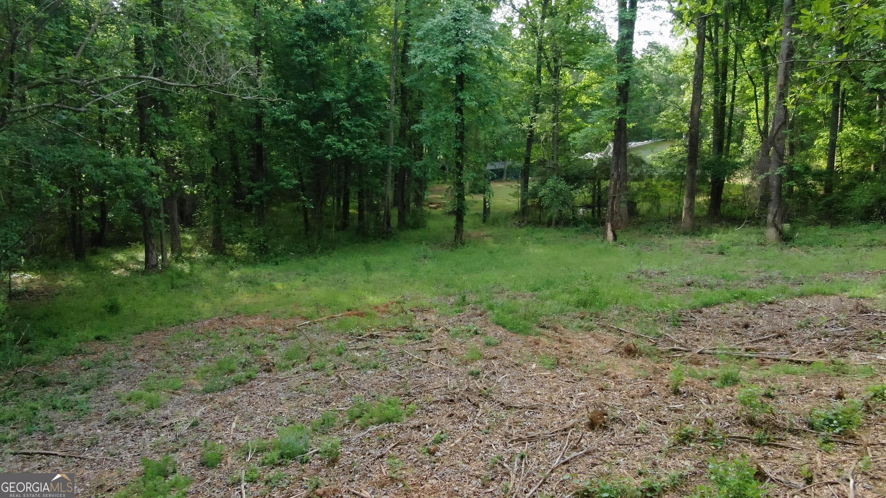 2000 Dials Mill Road Statham, GA 30666 - Photo 10 of 14