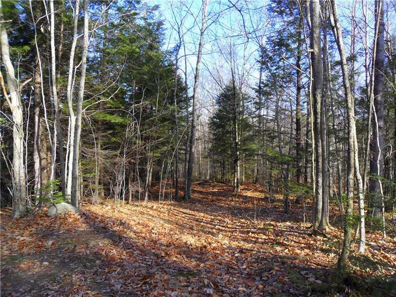 616 Common Road Dixfield, ME 04224 - Photo 21 of 24 Land. There are tons of trails for...