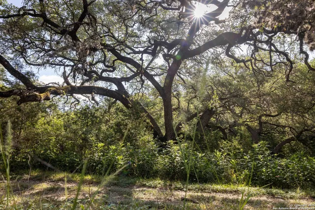 a view of lake with green space