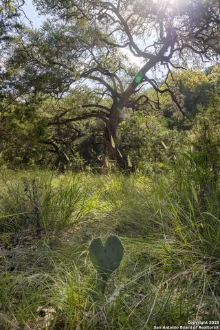 a bathroom with a small yard