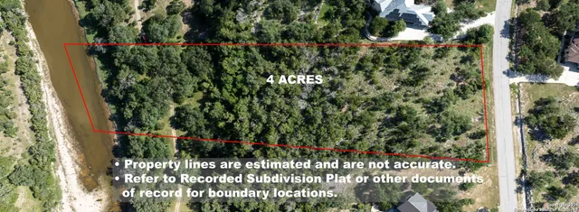 a view of a garden with flowers