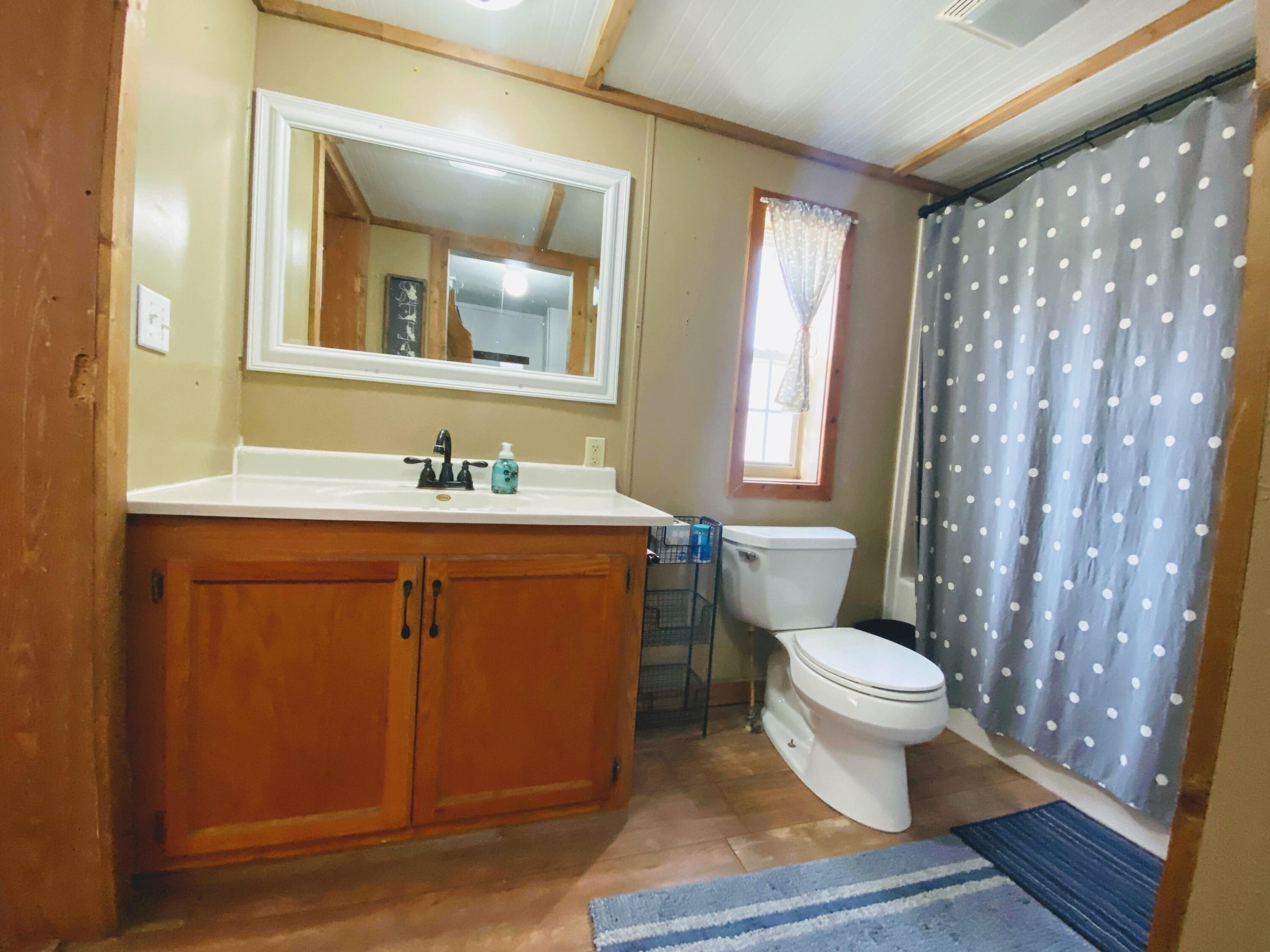 5965 North Raymond Road Luther, MI 49656 - Photo 6 of 17 Master bathroom