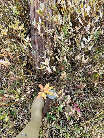 $600,000 | 129 Clark Co 80428, Clark, CO 80428