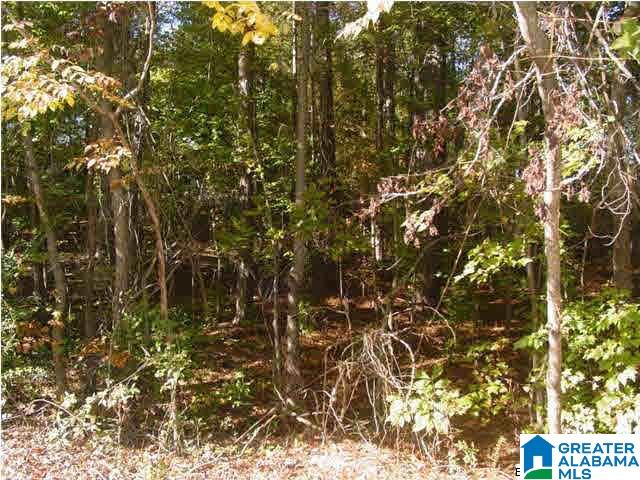 Choccolocco Road, Unit 2 43 Anniston, AL 36201 - Photo 6 of 10
