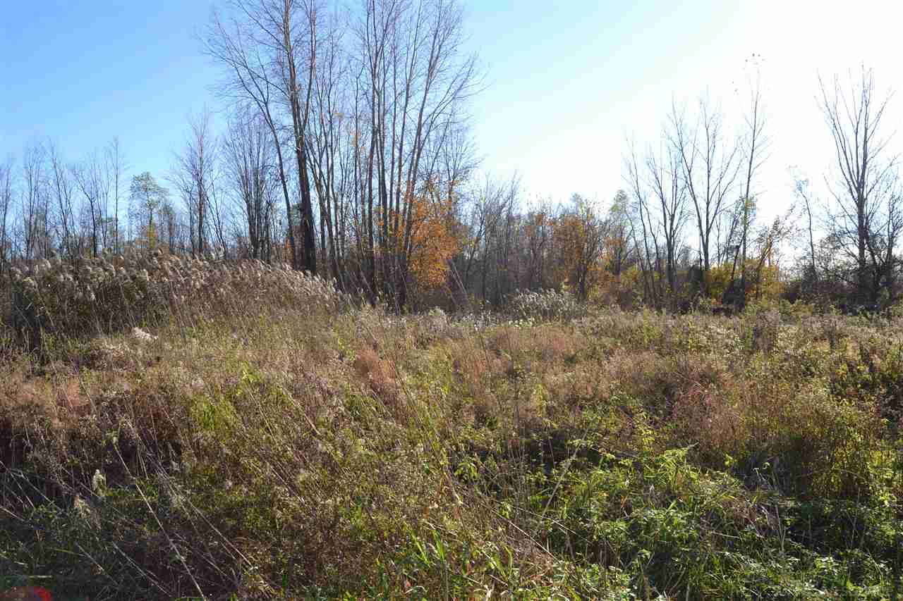 0 South Curry Road Caro, MI 48741 - Photo 3 of 6