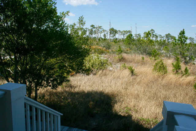 69 Parks Edge Orange Beach, AL 36561 - Photo 15 of 16 BACK VIEW OF ST PARK