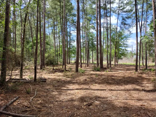$155,000 | Lot 3 County Road 4025, Lovelady, TX 75851