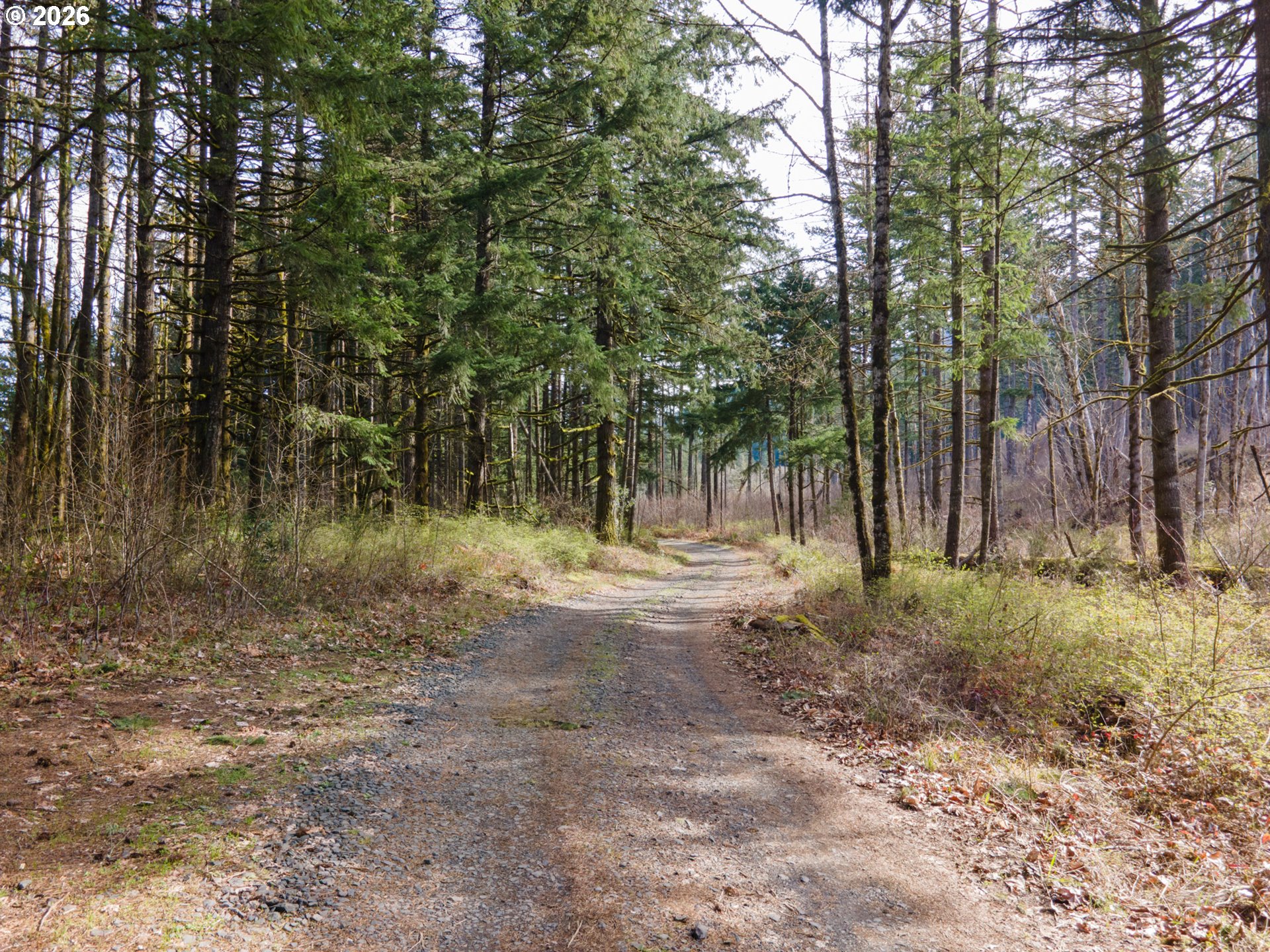 Dry Creek Road Cascade Locks, OR 97014 - Photo 11 of 16