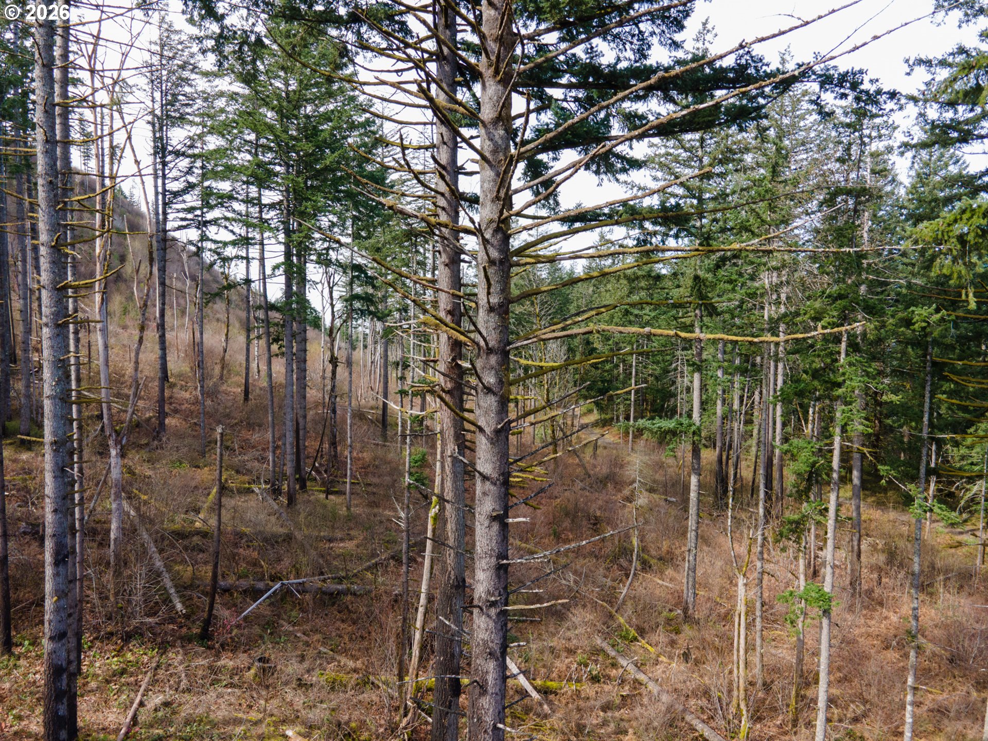 Dry Creek Road Cascade Locks, OR 97014 - Photo 12 of 16