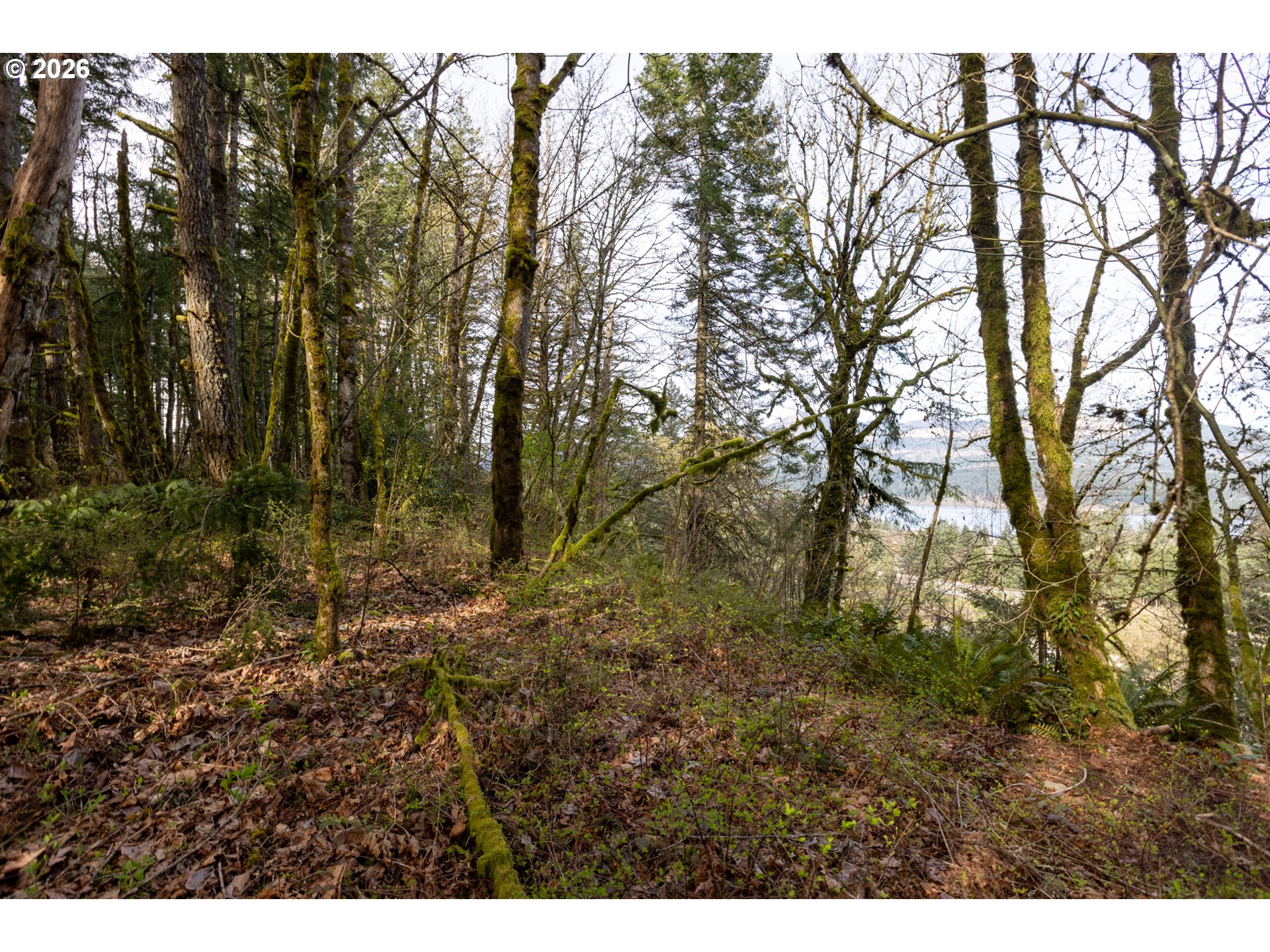 Dry Creek Road Cascade Locks, OR 97014 - Photo 14 of 16