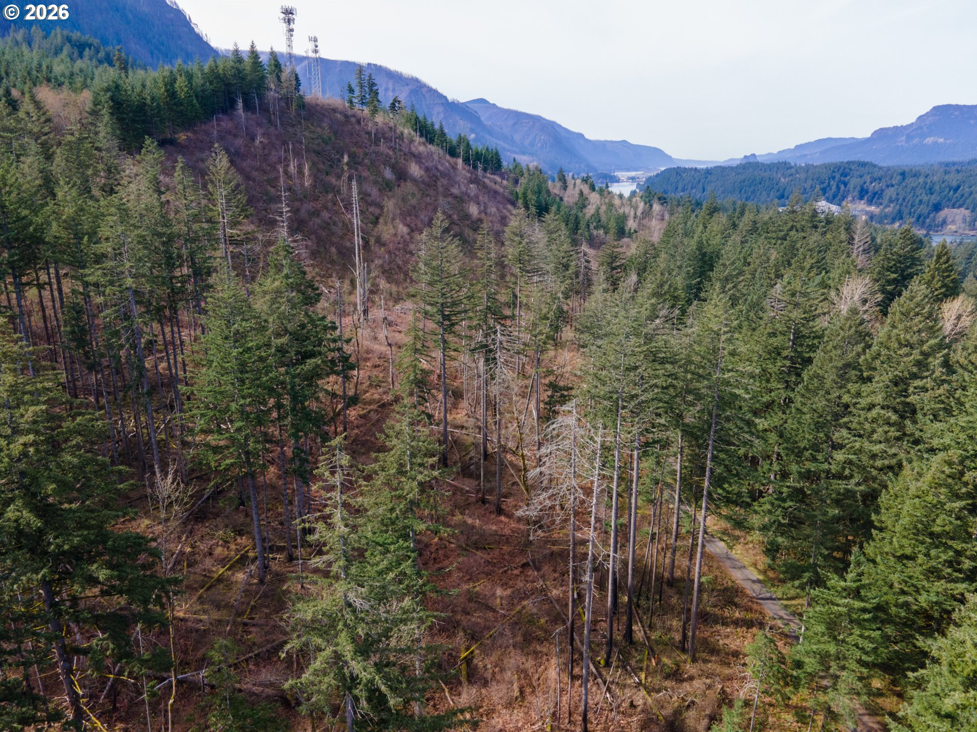 Dry Creek Road Cascade Locks, OR 97014 - Photo 10 of 16
