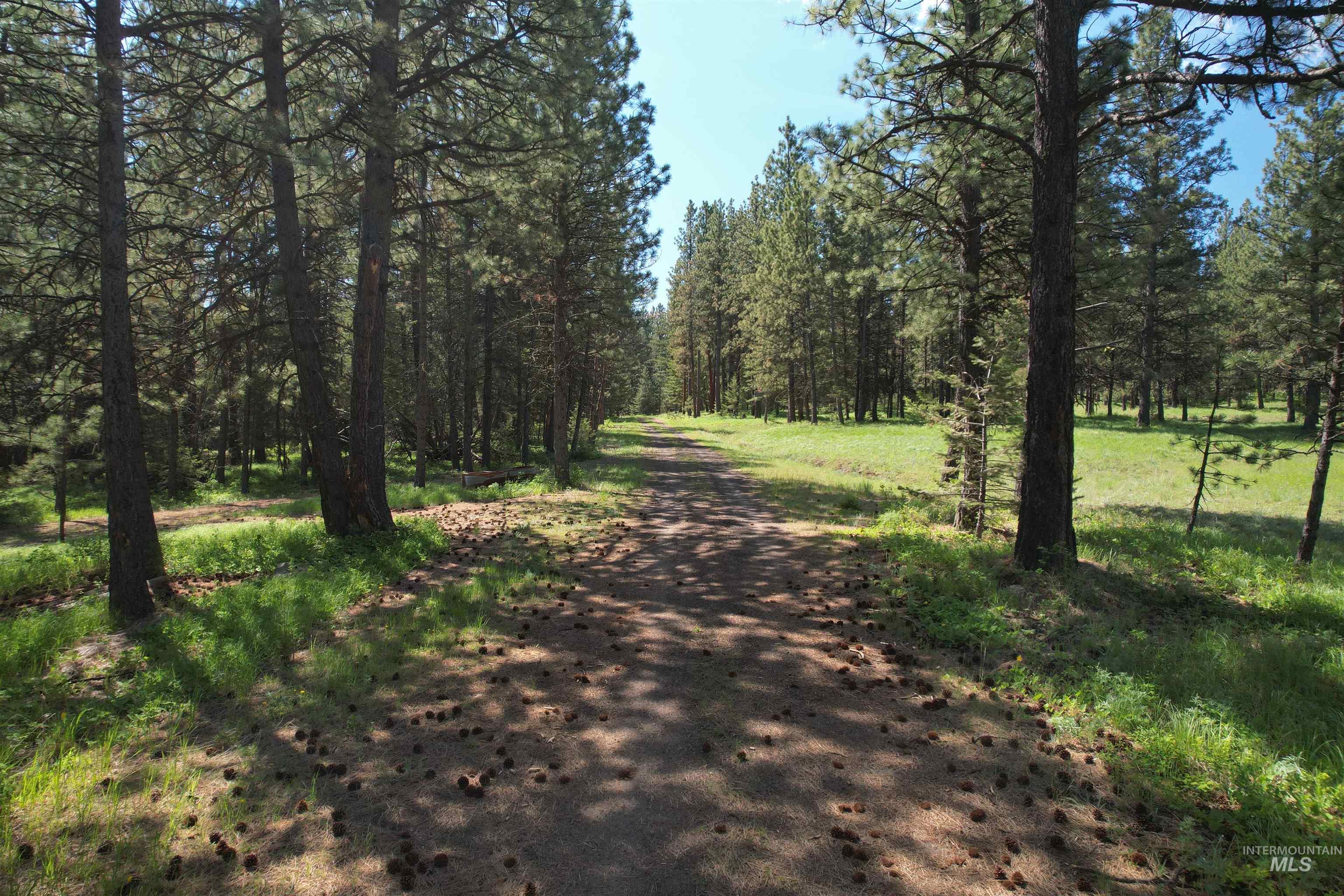 Nka Cloverland Road Asotin, WA 99402 - Photo 6 of 6